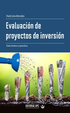 Paúl Lira Briceño Evaluación de proyectos de inversión обложка книги