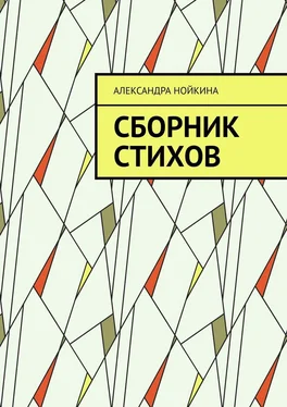 Александра Нойкина Сборник стихов обложка книги