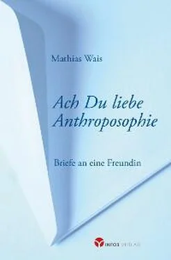 Mathias Wais Ach Du liebe Anthroposophie обложка книги