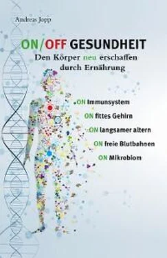 Andreas Jopp ON / OFF GESUNDHEIT - Den Körper neu erschaffen durch Ernährung обложка книги
