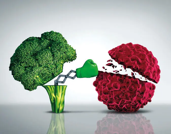 ESSEN FÜRS IMMUNSYSTEM Ihr Immunsystem Eine BiotechArmee Sie sichert - фото 14