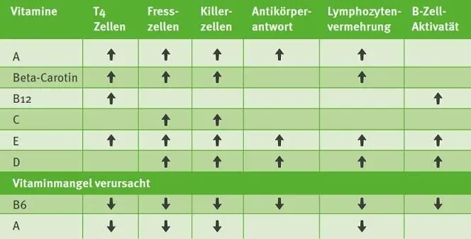 Verkürzen Sie die Erkältungsdauer mit Vitamin C Tiere können Vitamin C im Darm - фото 19