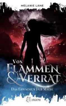 Melanie Lane Von Flammen & Verrat обложка книги