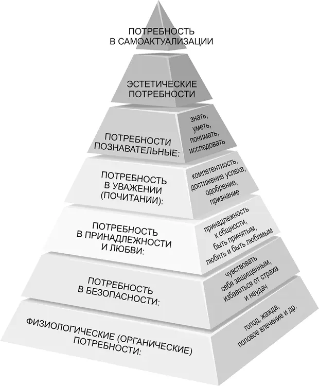 Физиологические потребности питание заведомо качественными продуктами в то - фото 3