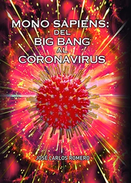 José Carlos Romero Mono Sapiens: Del Big Bang al Coronavrius обложка книги