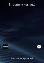 Константин Купянский - В гостях у лесника
