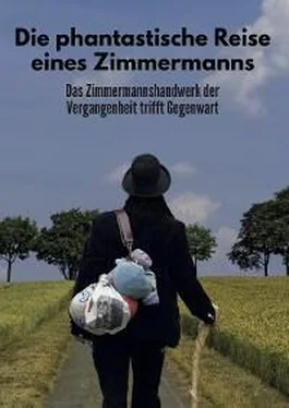 Michael Zimmermann Die phantastische Reise eines Zimmermanns обложка книги