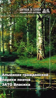 Array Коллектив авторов Альманах гражданской лирики поэтов ЗАТО Власиха обложка книги