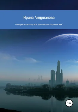 Ирина Андрианова Сценарий по рассказу «Акулькин муж» Ф.М. Достоевского обложка книги