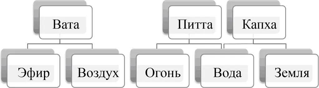 Рис 11 Классификация элементов и систем жизнедеятельности Веды описывают - фото 11