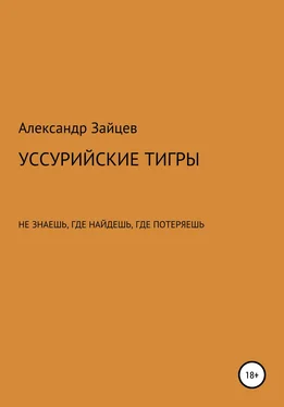 Александр Зайцев Уссурийские тигры обложка книги
