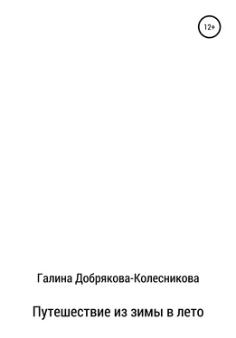 Галина Добрякова-Колесникова Путешествие из зимы в лето обложка книги