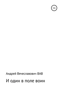 Андрей ВАВ И один в поле воин обложка книги