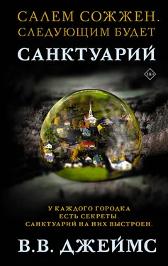 В. В. Джеймс Санктуарий обложка книги