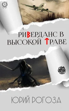 Юрий Рогоза Риверданс в высокой траве обложка книги