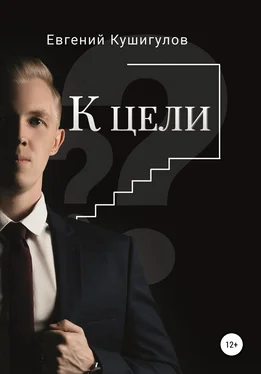 Евгений Кушигулов К цели обложка книги