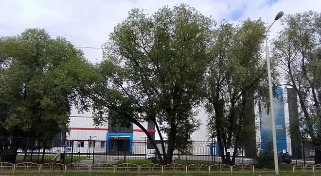Это солидное здание когдато было старым обшарпанным строением где размещалось - фото 7