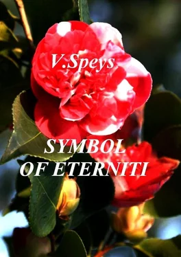 V. Speys SYMBOL OF ETERNITY обложка книги