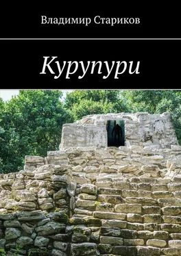 Владимир Стариков Курупури обложка книги