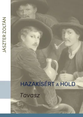 Zoltán Jászter Hazakísért a Hold. TAVASZ обложка книги