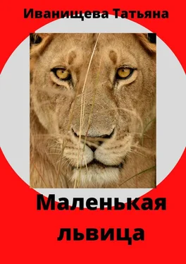 Татьяна Иванищева Маленькая львица обложка книги