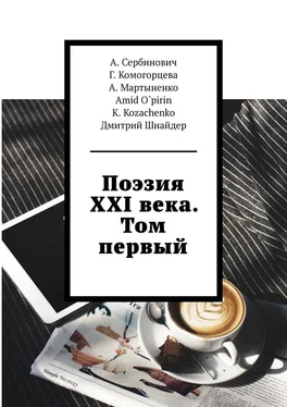 Дмитрий Шнайдер Поэзия XXI века. Том первый обложка книги