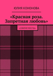 Юлия Кононова - «Красная роза. Запретная любовь». «Сжигая мосты»