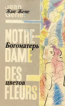 Жан Жене Богоматерь цветов обложка книги