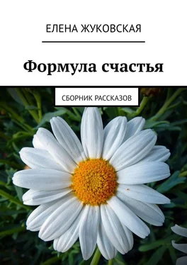 Елена Жуковская Формула счастья. Сборник рассказов обложка книги