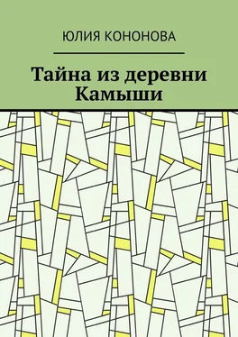 Юлия Кононова Тайна из деревни Камыши обложка книги