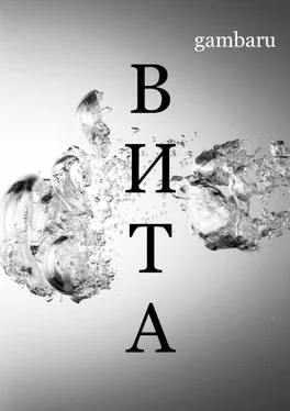 Gambaru ВИТА обложка книги