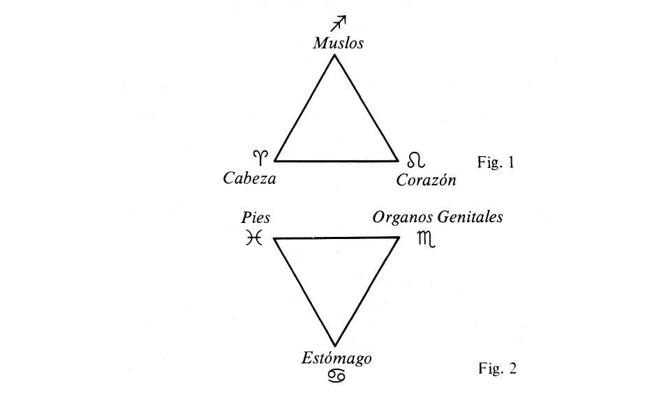 Cuadro de correspondencias del zodíaco con el cuerpo humano 9 cabeza 1 - фото 2