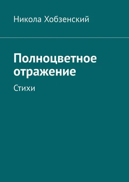 Никола Хобзенский Полноцветное отражение. Стихи обложка книги