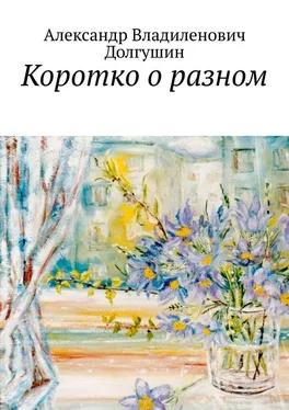 Александр Долгушин Коротко о разном обложка книги