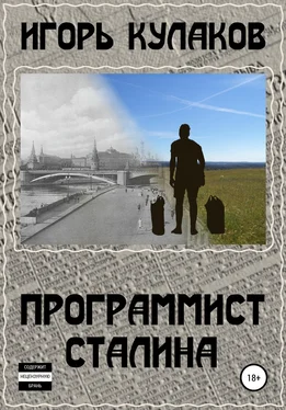 Игорь Кулаков Программист Сталина обложка книги