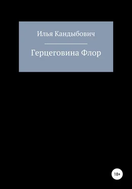 Илья Кандыбович Герцеговина Флор обложка книги