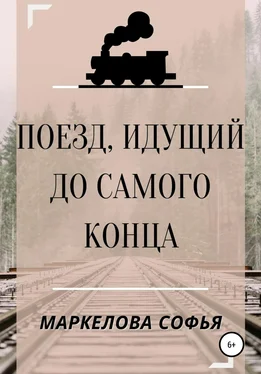 Софья Маркелова Поезд, идущий до самого конца обложка книги