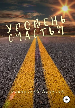 Алексей Бахенский Уровень счастья обложка книги