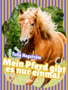 Torbjörg Hagström Mein Pferd gibt es nur einmal обложка книги