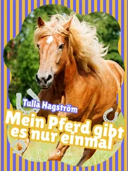 Torbjörg Hagström - Mein Pferd gibt es nur einmal