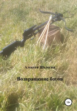 Алексей Шелегин Возвращение богов обложка книги