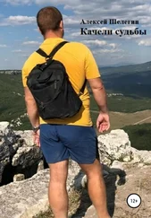 Алексей Шелегин - Качели судьбы