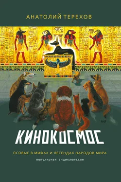 Анатолий Терехов Кинокосмос. Псовые в мифах и легендах народов мира. Популярная энциклопедия обложка книги