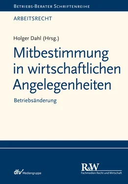 Holger Dahl Mitbestimmung in wirtschaftlichen Angelegenheiten обложка книги
