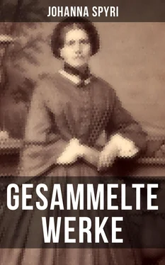 Johanna Spyri Gesammelte Werke von Johanna Spyri обложка книги