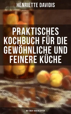 Henriette Davidis Praktisches Kochbuch für die gewöhnliche und feinere Küche (Mit über 1500 Rezepten) обложка книги