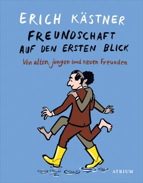 Erich Kastner Freundschaft auf den ersten Blick обложка книги