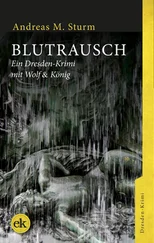 Andreas M. Sturm - Blutrausch