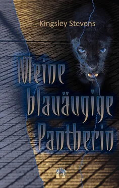 Kingsley Stevens Meine blauäugige Pantherin обложка книги