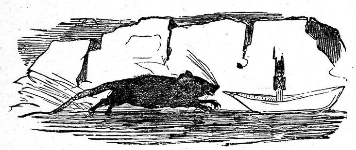 Wohin mag ich nun kommen dachte er Ja ja daran ist der Kobold schuld - фото 16